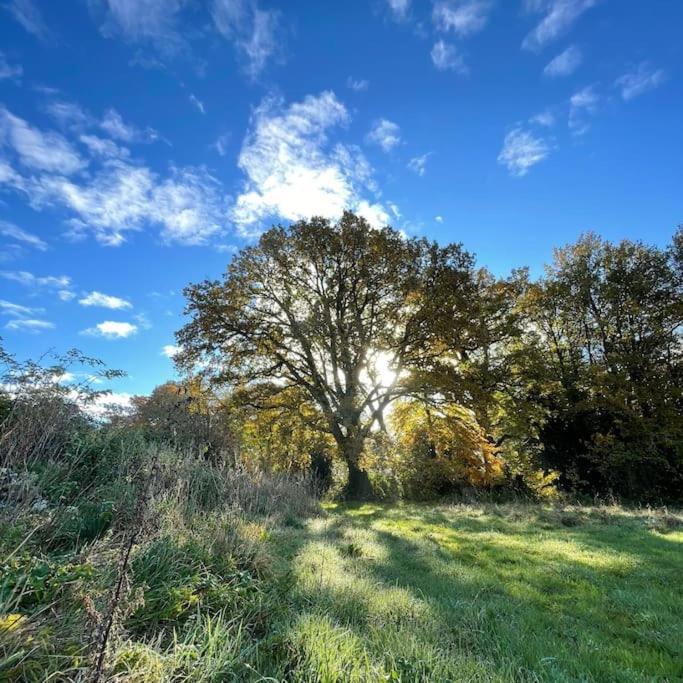 Superbe Maison De Campagne A Deux Pas De Nantes Treillières エクステリア 写真